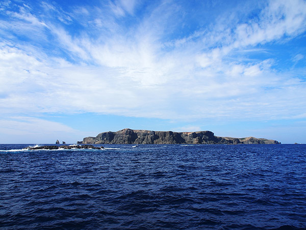 聟島の全景