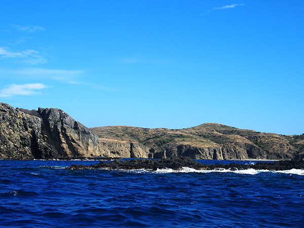 聟島の海岸線