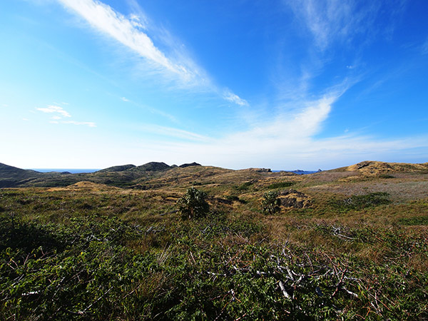 聟島 地形