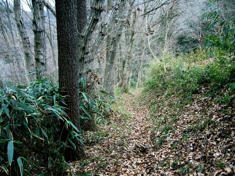 河原へ続く山道