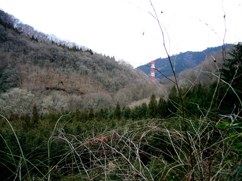 山林に囲まれた風景