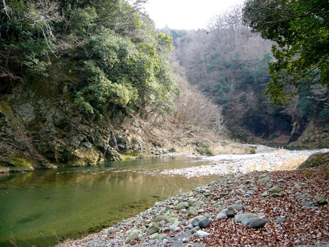 蛇行する川