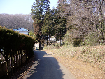 山道から一旦舗装された道に出たところ