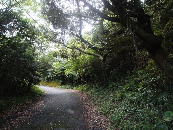 大峰展望台に続く坂道