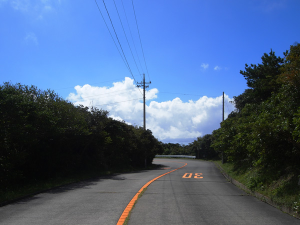 向山(石山)の道路