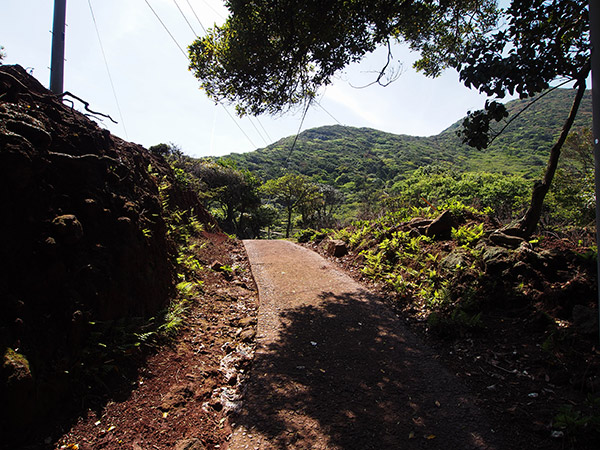 野崎島 野首方面 道路