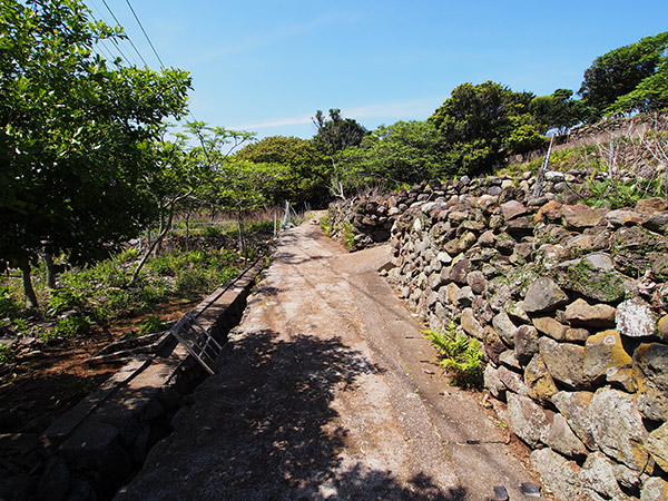 廃村 石垣 野崎島