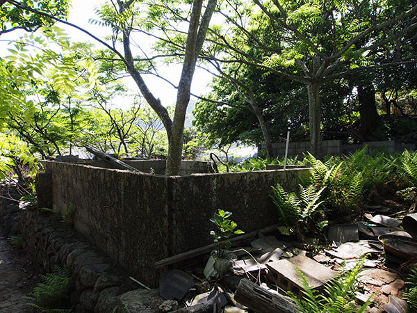 無人島 住居の基礎