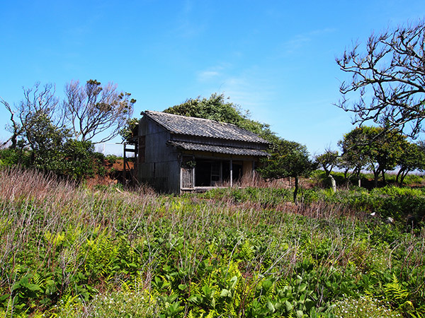 野崎集落 高台の家屋