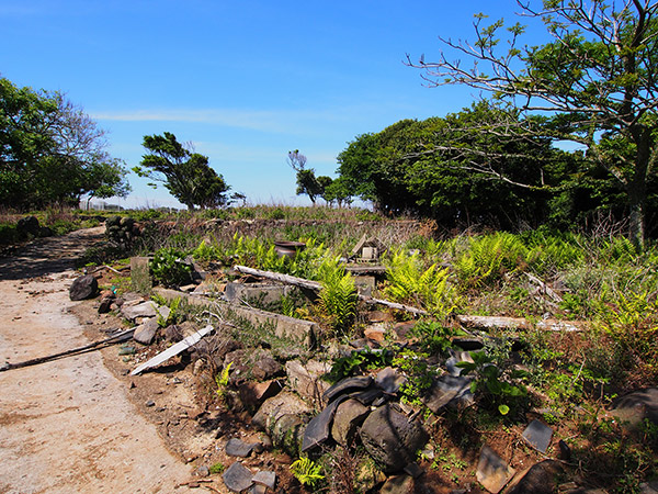 野崎集落 空き地