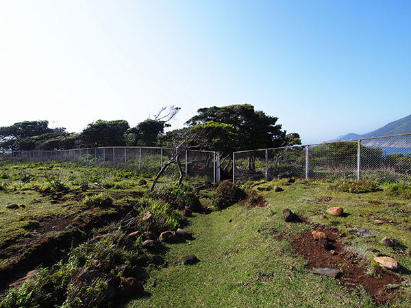 野崎島 鹿除けフェンス