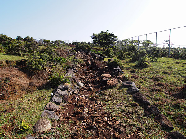 野崎島 遊歩道