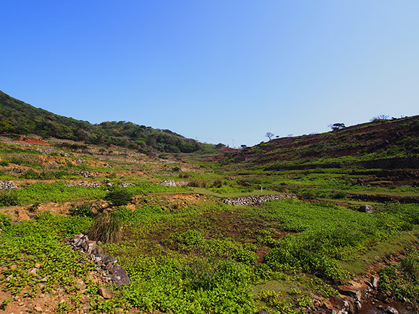 野崎島 田畑 地形