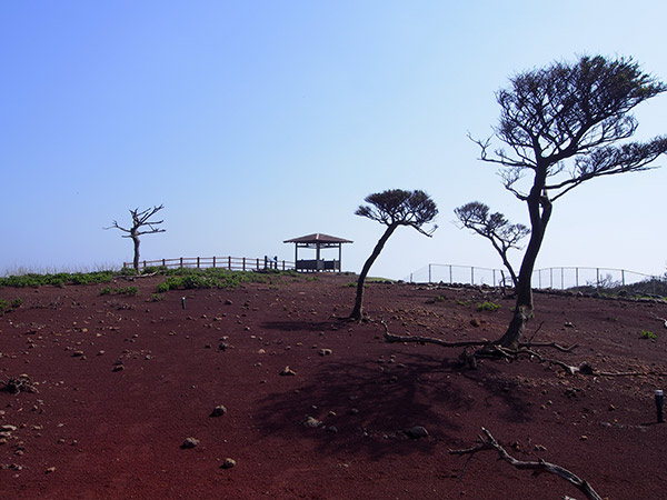 野崎島 北崎展望所 行き方