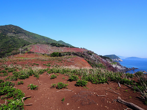 野崎島 崖