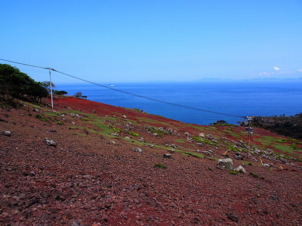 野崎島 電柱 電線