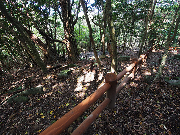 野崎島 沖ノ神島神社の近く