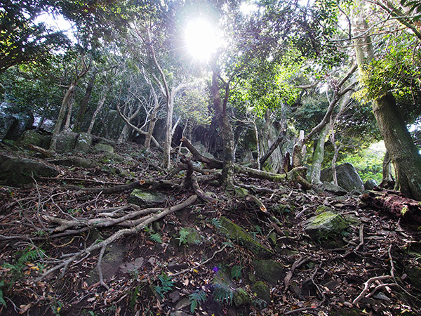 王位石 場所 野崎島