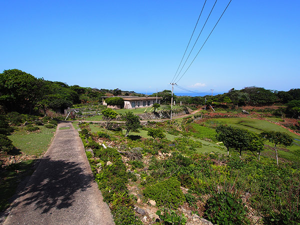 野崎島 道路