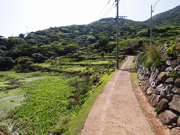 野崎島 棚田の跡