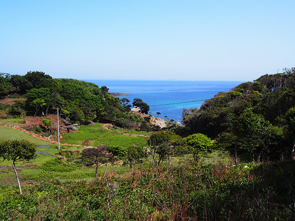 野崎島 無人島 廃墟