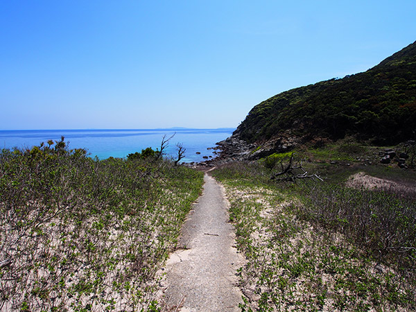 野首海岸への行き方 道順