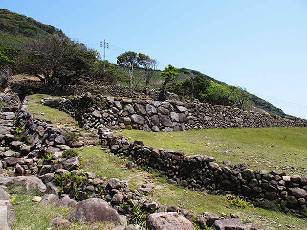 野崎島 野首 石垣