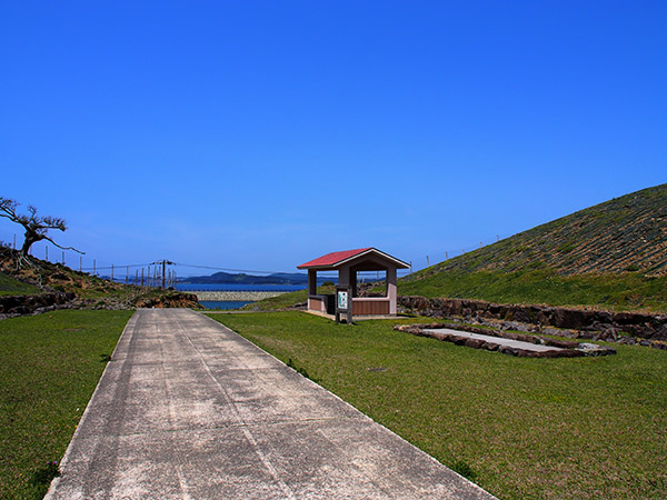 野崎島水源の森