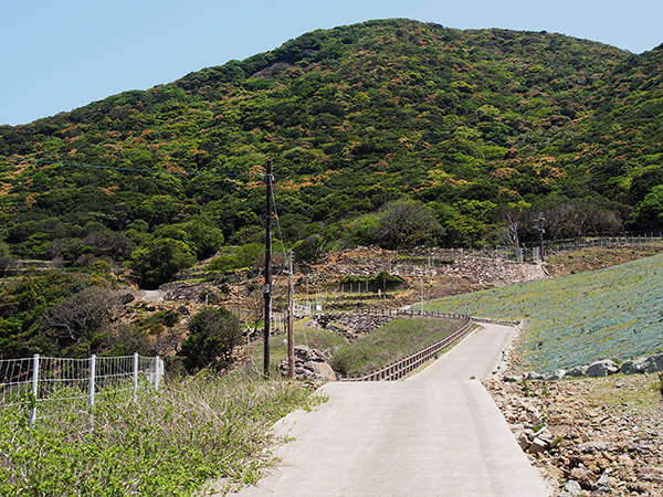 野首港 集落跡