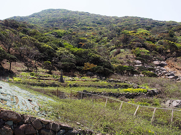 野崎島 キリシタン墓地