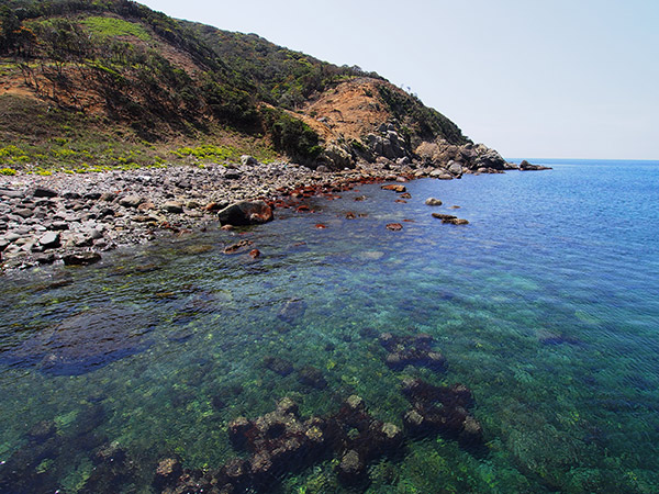 野首港 海水浴