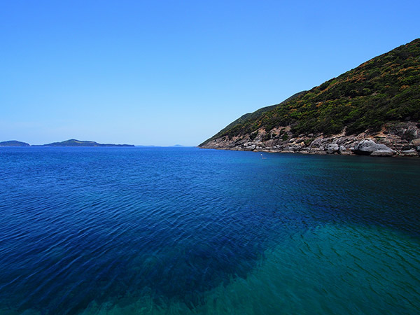 野首港 海釣り