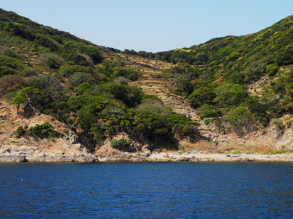 舟森集落 野崎島