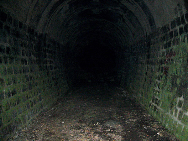トンネル内部の様子