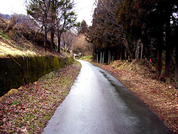 線路脇の石垣