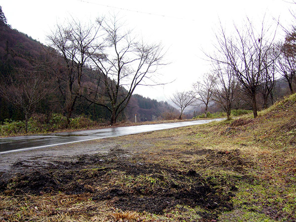 貨物駅の跡地