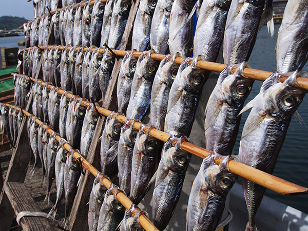 小値賀町 魚の干物