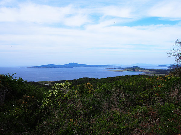 斑島園地から見た宇久島