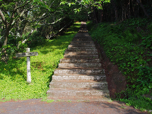 黒島園地 小値賀島