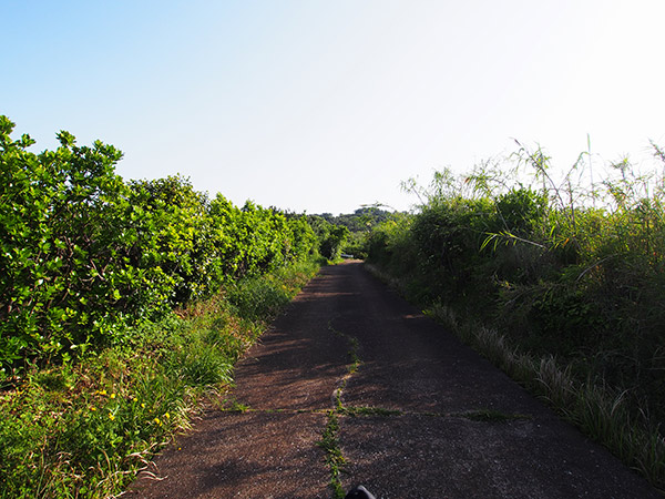 黒島の景色 小値賀島