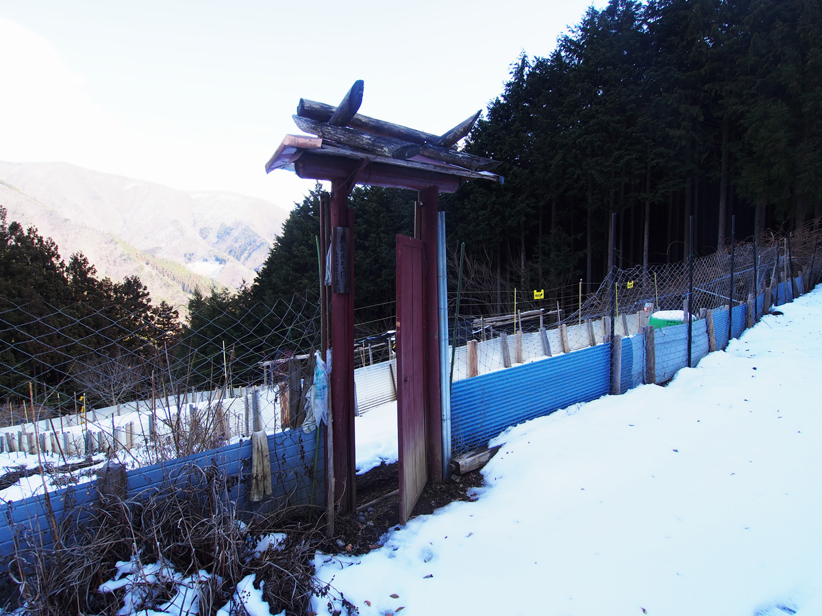 奥多摩 峰集落の畑