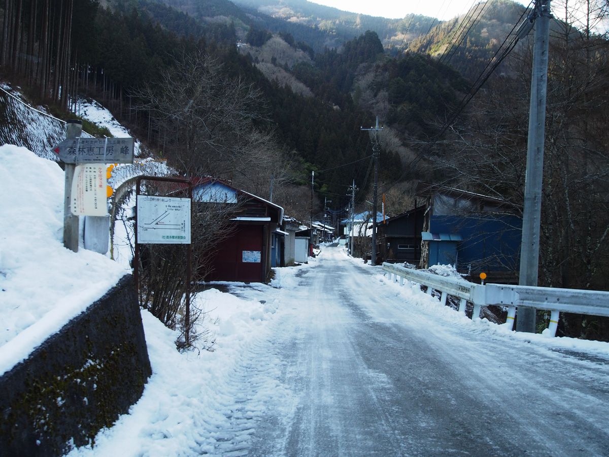 奥多摩 峰谷地区 降雪