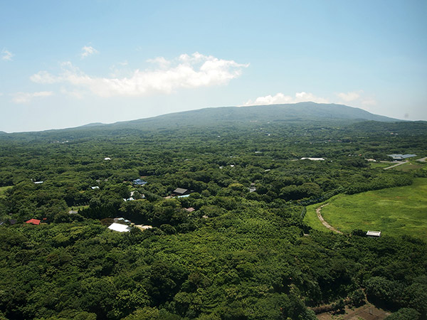 上空から見た大島