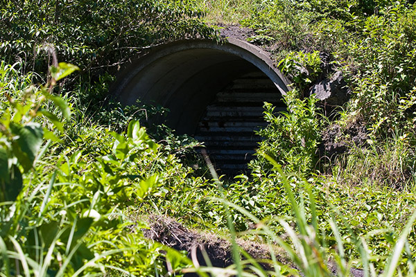 三原山の避難壕