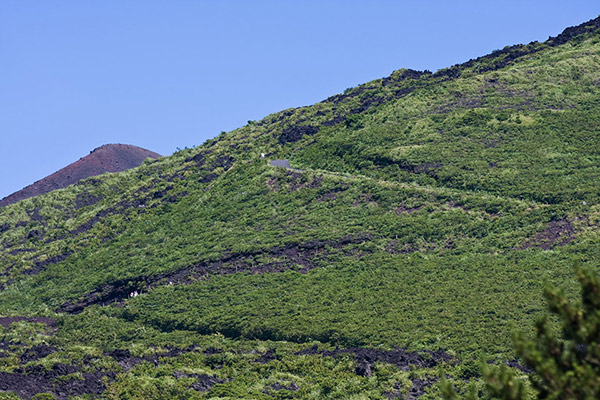 三原山の登山道