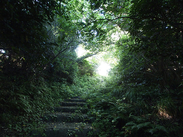 大島灯台の石段