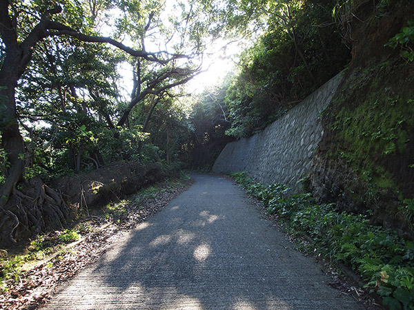 野田浜へ続く坂道