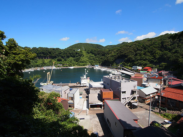 上から見た波浮港