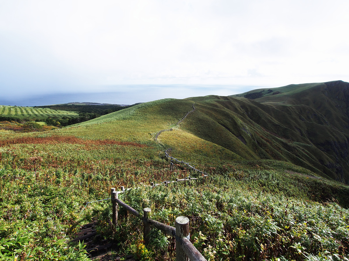 礼文島 登山道 トレッキングコース