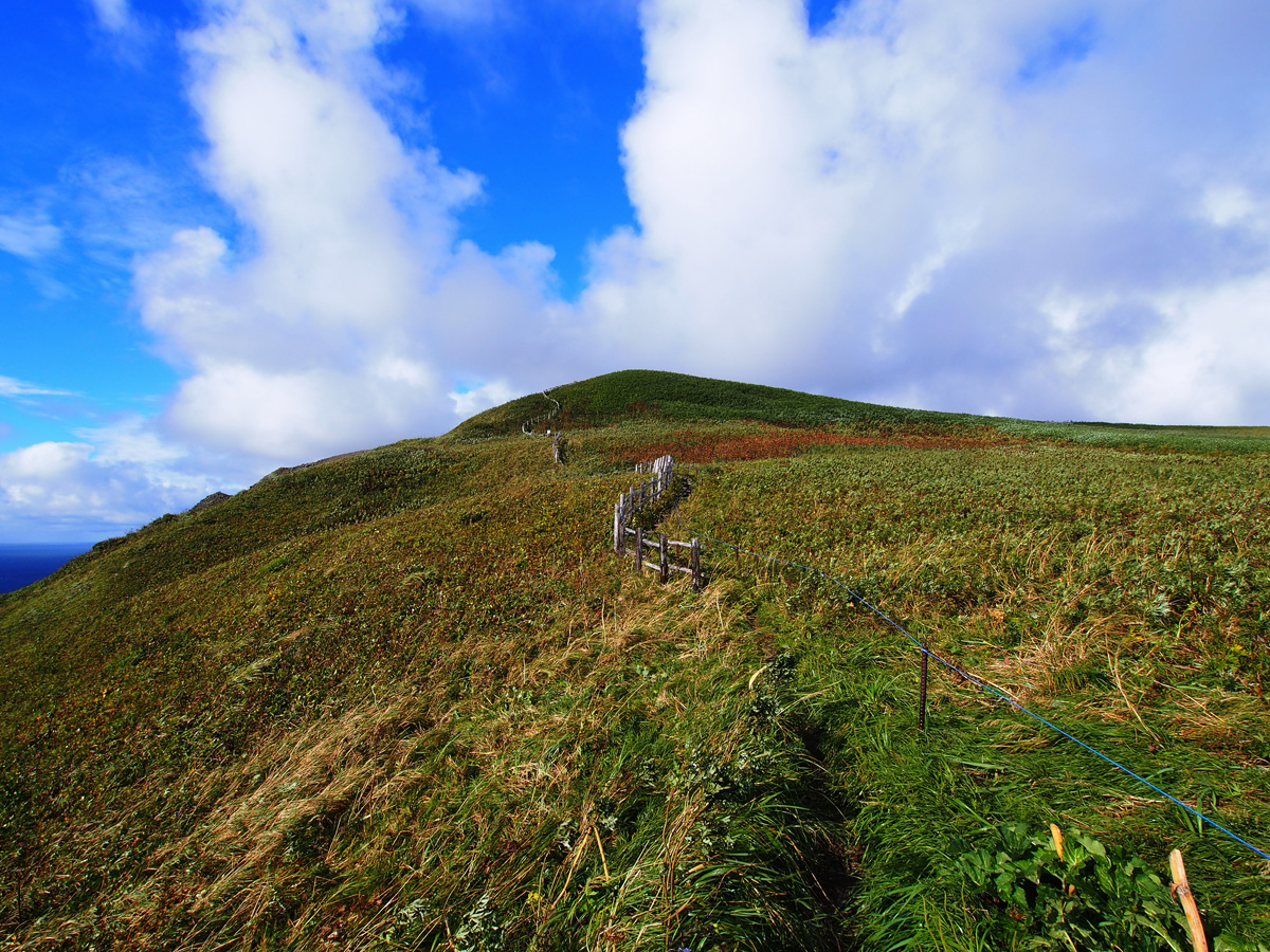 礼文島の絶景 桃岩展望台コース